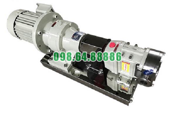 Máy bơm lobe 3RP-20 lưu lượng 9 m3/h