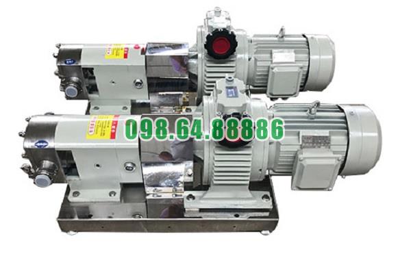 Máy bơm lobe 3RP-60 lưu lượng 18 m3/h