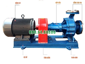 Bơm tuần hoàn dầu truyền nhiệt RY125-80-160 160m3/h, 50m, 22kW, 2900 vòng/phút