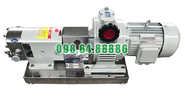 Máy bơm lobe 3RP-2 lưu lượng 1.2 m³/h áp suất 0.6 MPa